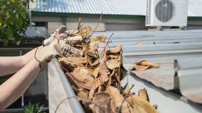 Maintaining Your Roof this Fall