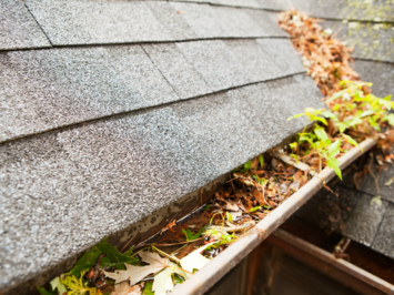 Why Spring Cleaning Should Include Your Roof
