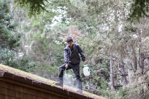 roof installers dexter, dexter roof installers